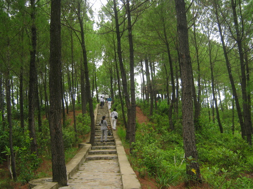 img_2691_500 img_2691_500